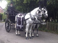Horse drawn Carriage Hire   Disley 280895 Image 8
